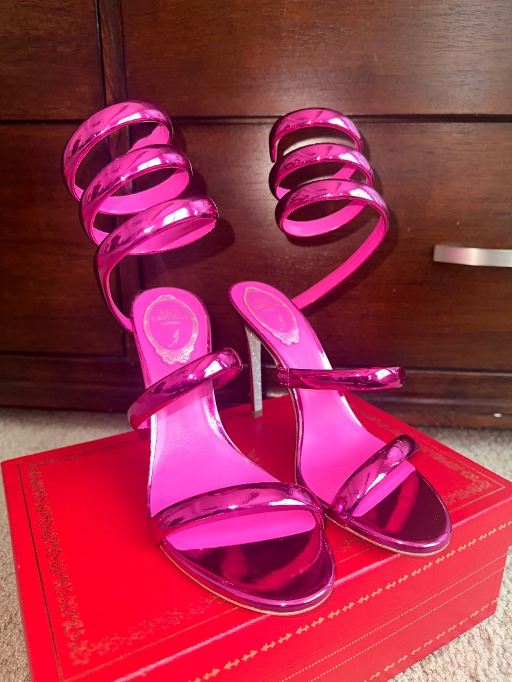 Renee Caovilla Heels